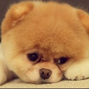 使一颗心免于悲伤