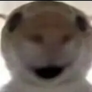 hjmhjmhjm天天哈基米哈基