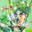 Joseph Joestar