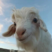 一天十发不肾虚