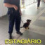 PF_Paulo