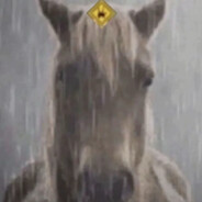 蛇花花语是8×3小时爱你