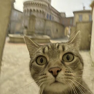 东北雨姐给我口