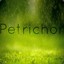 PETRICHOR