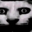 d00m