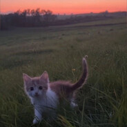 rizebtw - steam id 76561199546846415