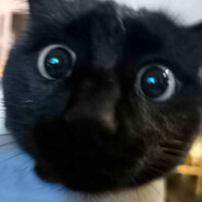 Mine