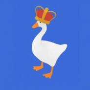 expertgooseking