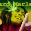 Bard Marley