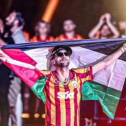 绵阳涪城区拳王牛牛凯