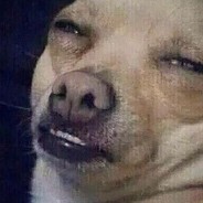 Rocket.アライグマ