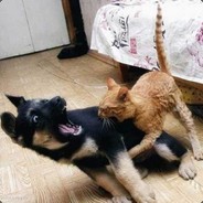 My Mom Buys My Scripts