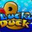 LuckY~DucK