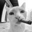 murka^^p