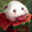 bbyc Steam avatar