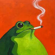 Moriotto 🐸