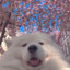 汉口干拉王