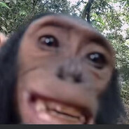 V丹れ工メ