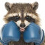 EVIL ASS RACCOON