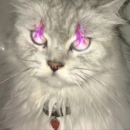 欲将故事叙于风丶