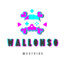 WALLONSO