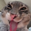 frozzeh's avatar