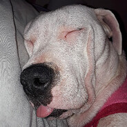 ElTripii avatar
