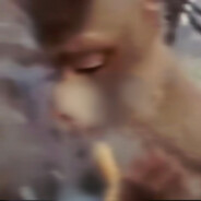 翻斗花园魏爷爷