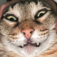 ffduple