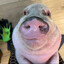 pig (BT)