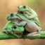 Frogpile