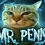 Mr.Penis