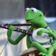 Kermit The Frog