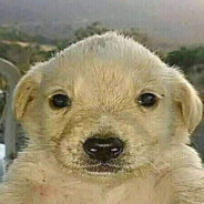 вы