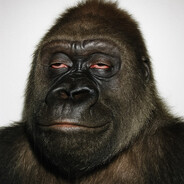 Gorillich_
