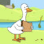 duccyquack