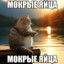 рептилий хуй