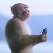 她想公车再不来就走一走路