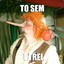 Luk