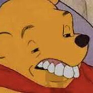 Winnie Poop