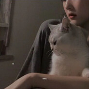 也许我风流倜傥