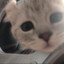 Minbell