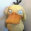 Psyduck04