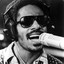 Stevie Wonder