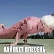 Дебошир анальный