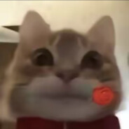 翻斗花园第一深情