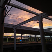 初闻不知曲中意.