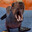 FordDraco643 avatar