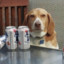 Alcoholic_Dog