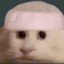 w7w7